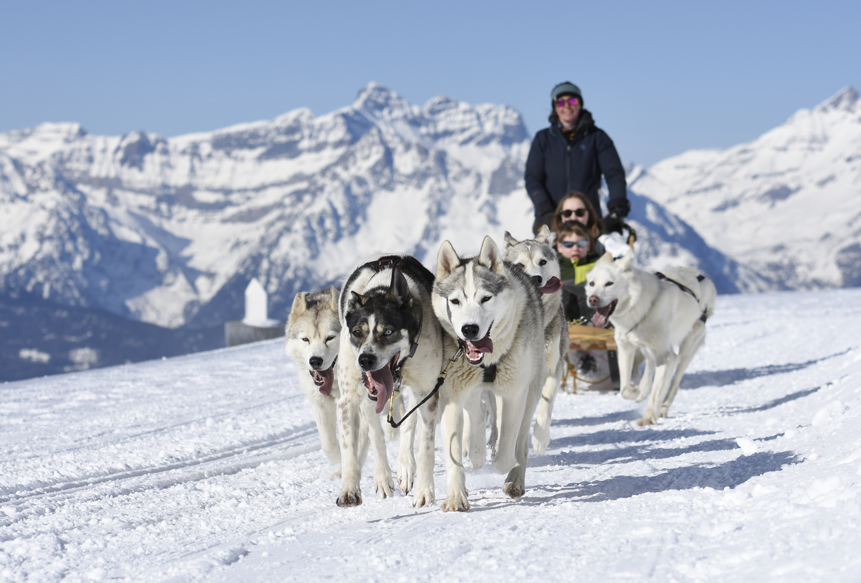 L'attelage de chiens de traîneaux de TakiTrek à Verbier dans la neige