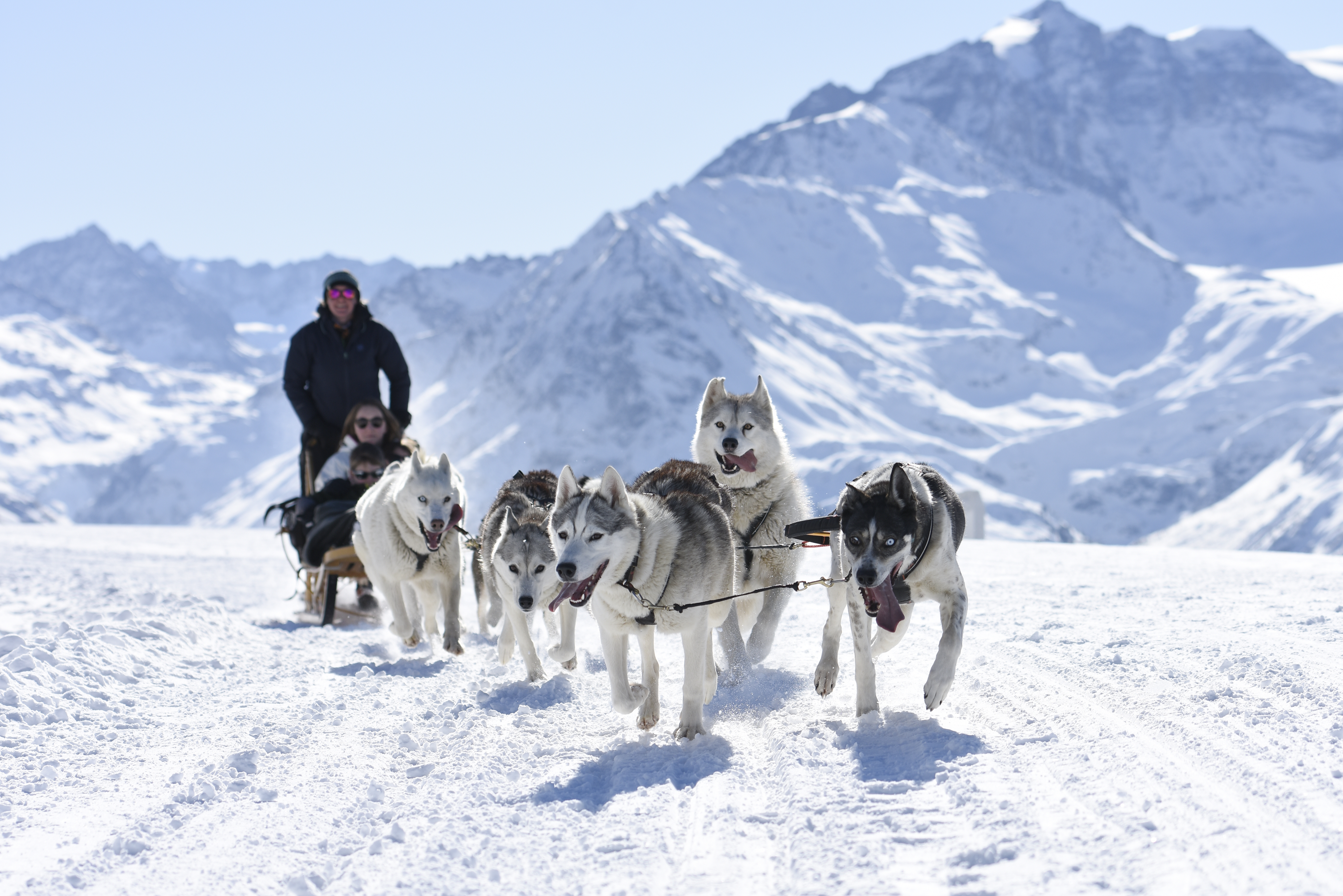 Attelage de husky en train de tirer un traineau sous un beau soleil et avec de la neige