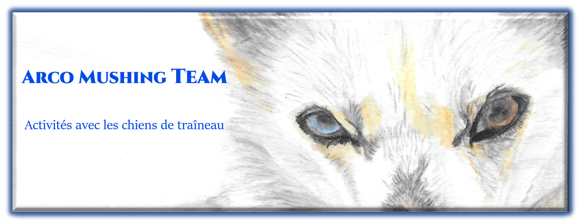 Logo de Arco Mushing Team chiens de traîneaux