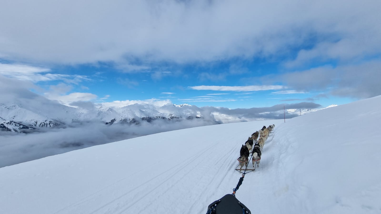 Paysage avec chiens de traîneaux attelés dans la neige à verbier