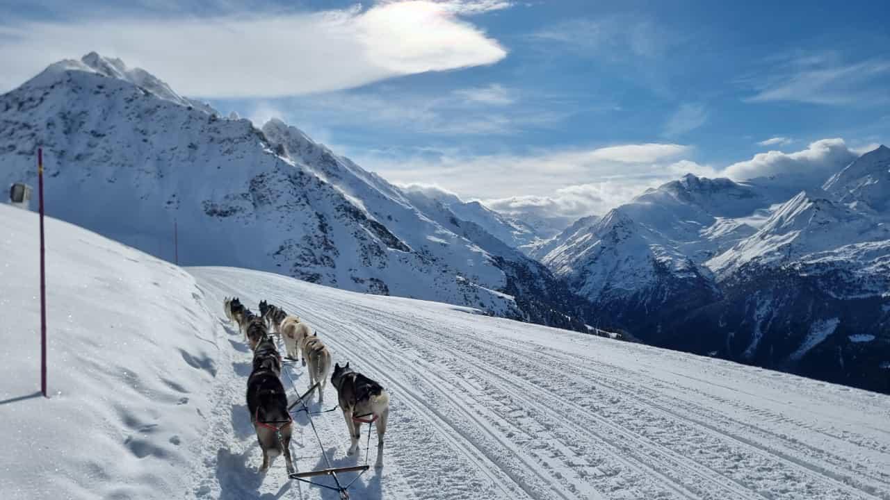 Tour Panoramique